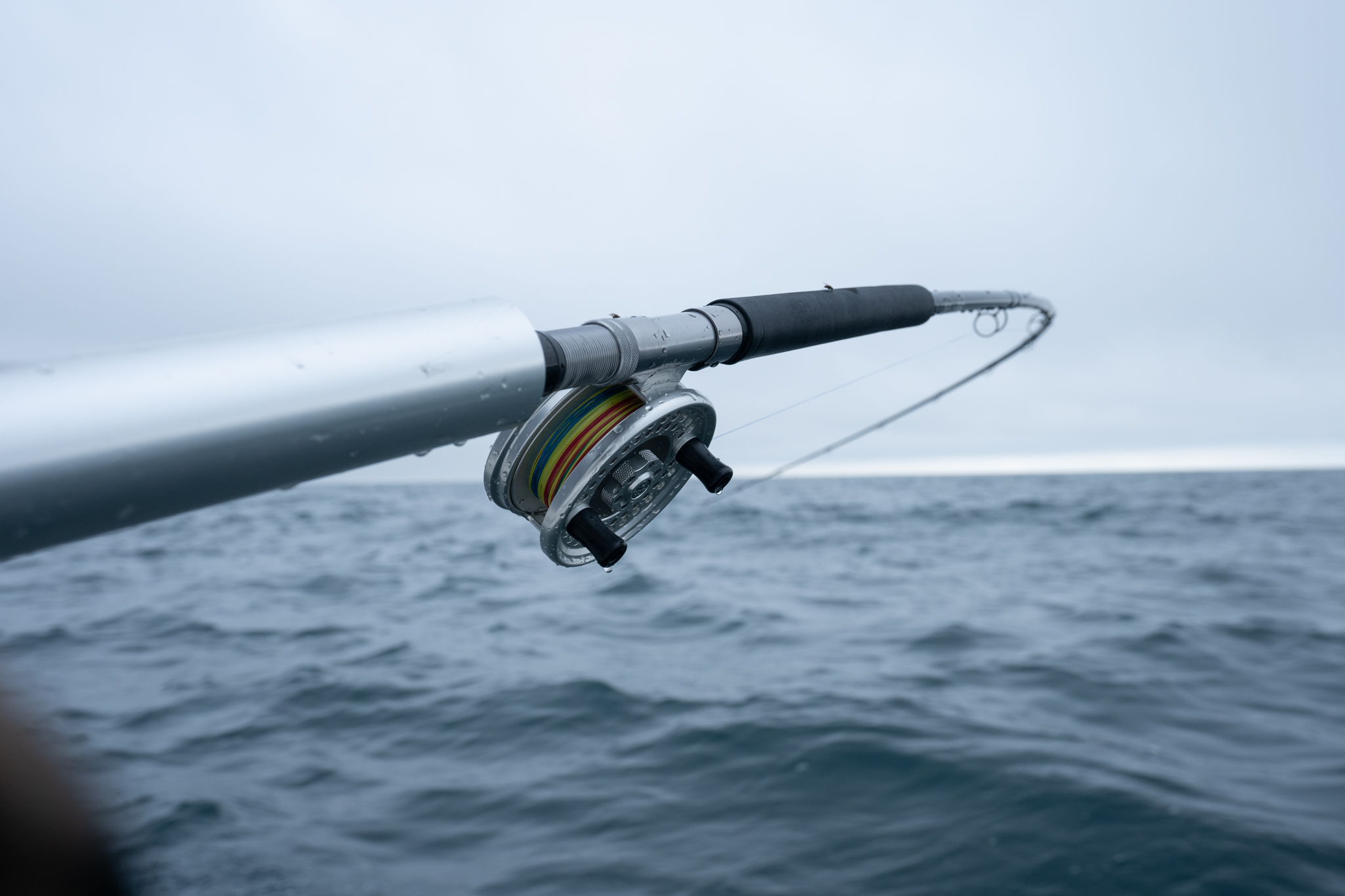 Islander Reel and Shimano Convergence for Salmon Trolling « Fishing with Rod  Blog