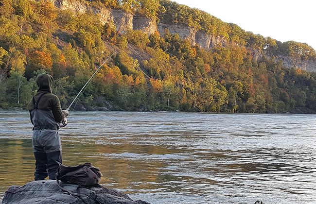 Islander Reels – Mooching Reels | Centerpin Reels | Fly Fishing