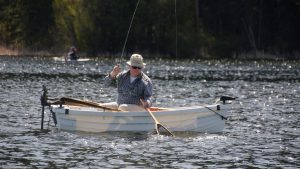 Stillwater Trout