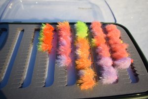 Blob fly pattern Brian Chan