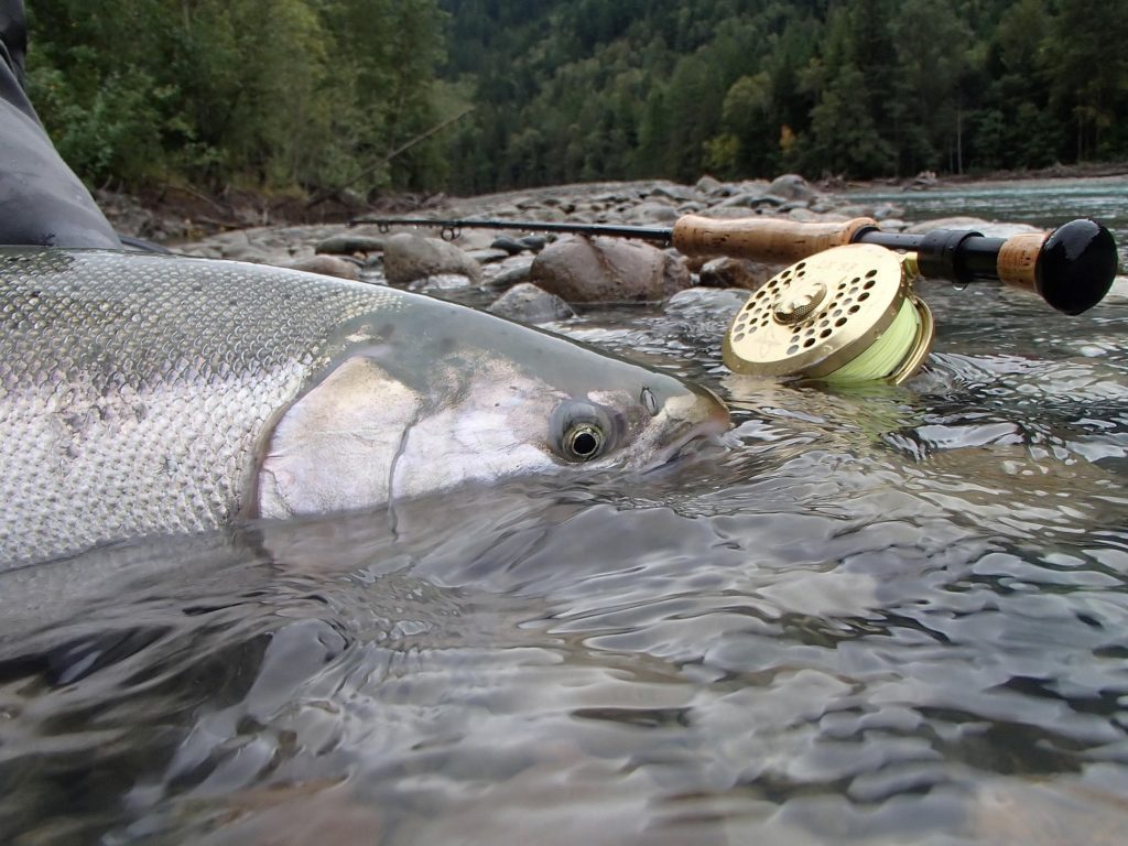 Changing Gears on the Dean River – Islander Precision Reels