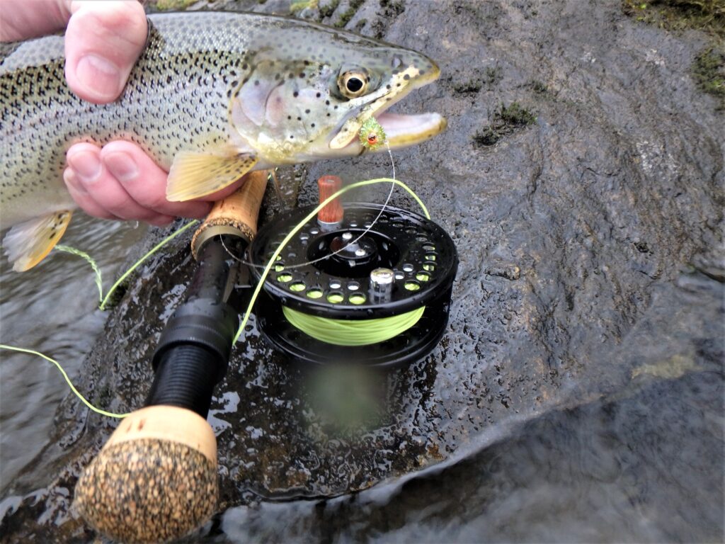 Pursuing Sea-Run Cutthroat Trout – Islander Precision Reels