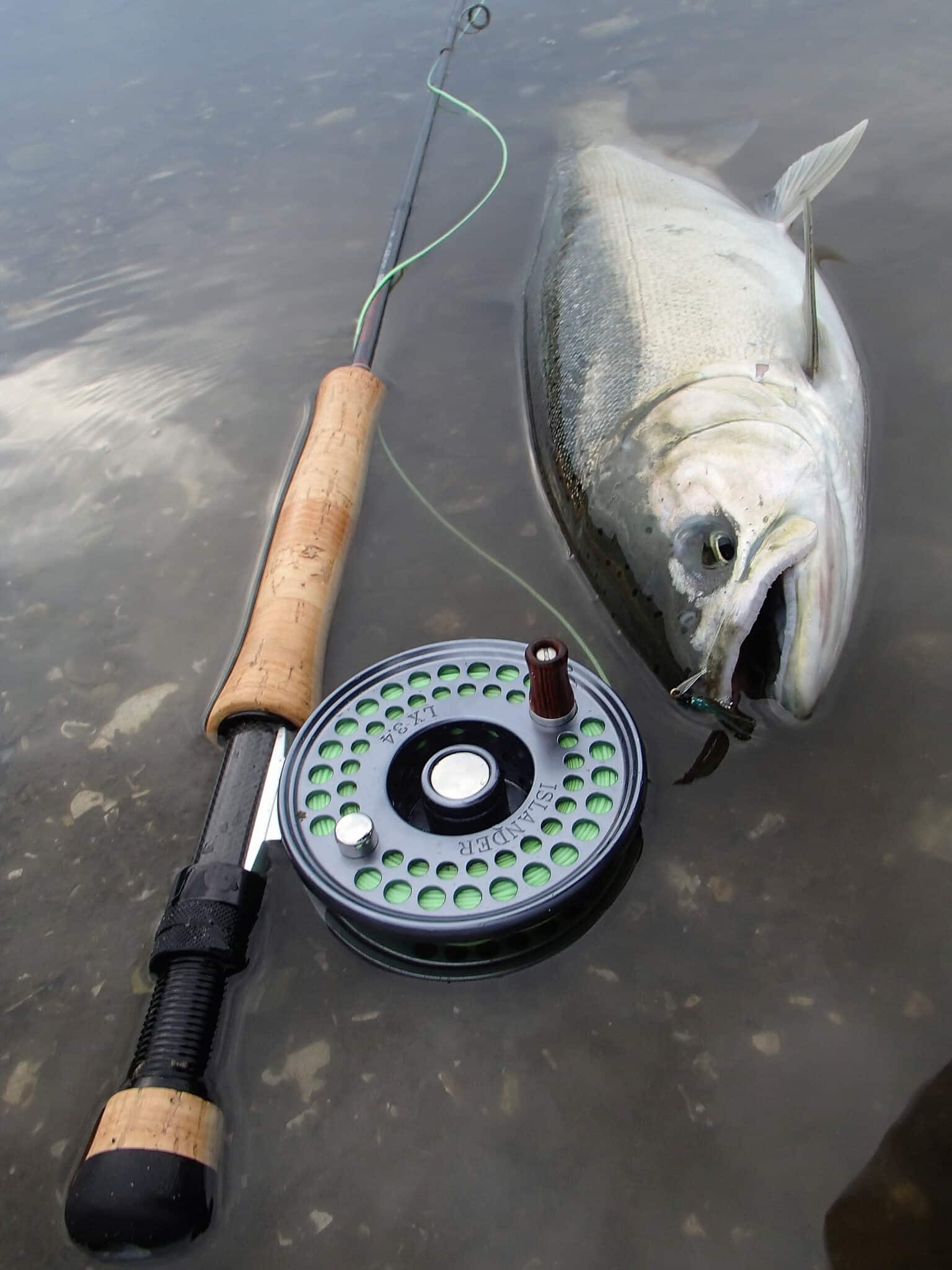 Pursuing Coho in the Ocean with a Fly Islander Precision Reels