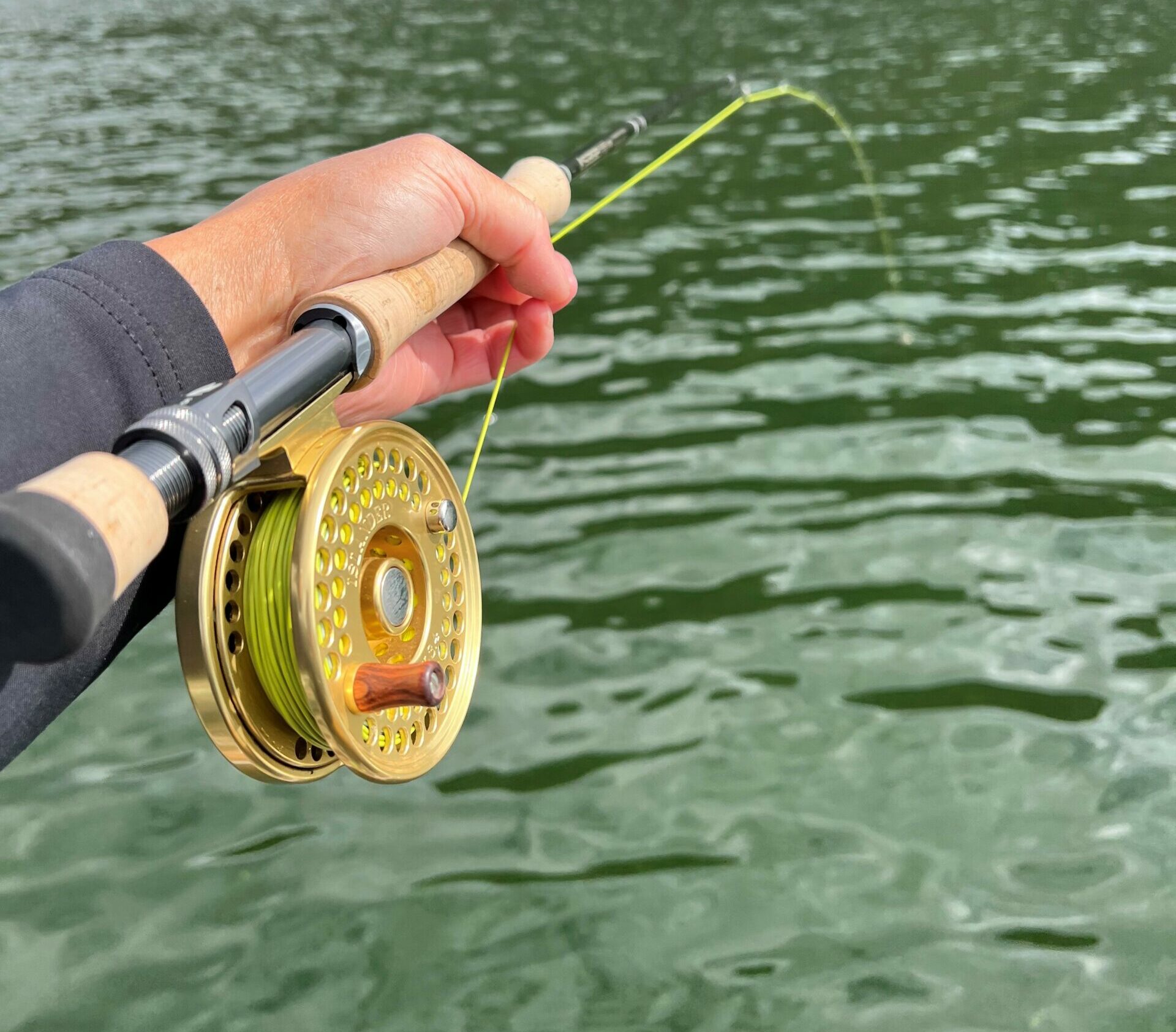 Fall Stillwater Fly Fishing Tactics – Islander Precision Reels