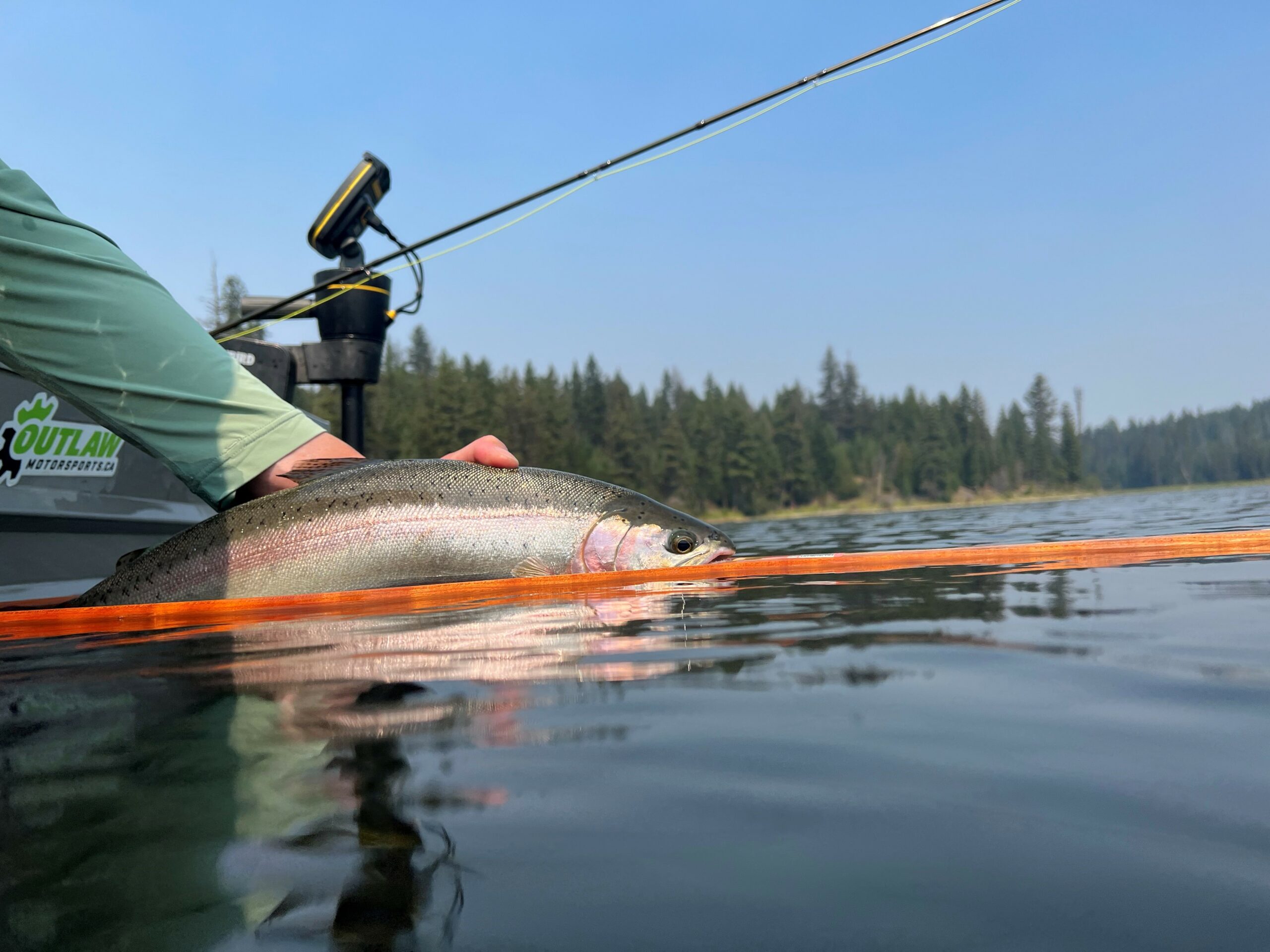 Fall Stillwater Fly Fishing Tactics – Islander Precision Reels