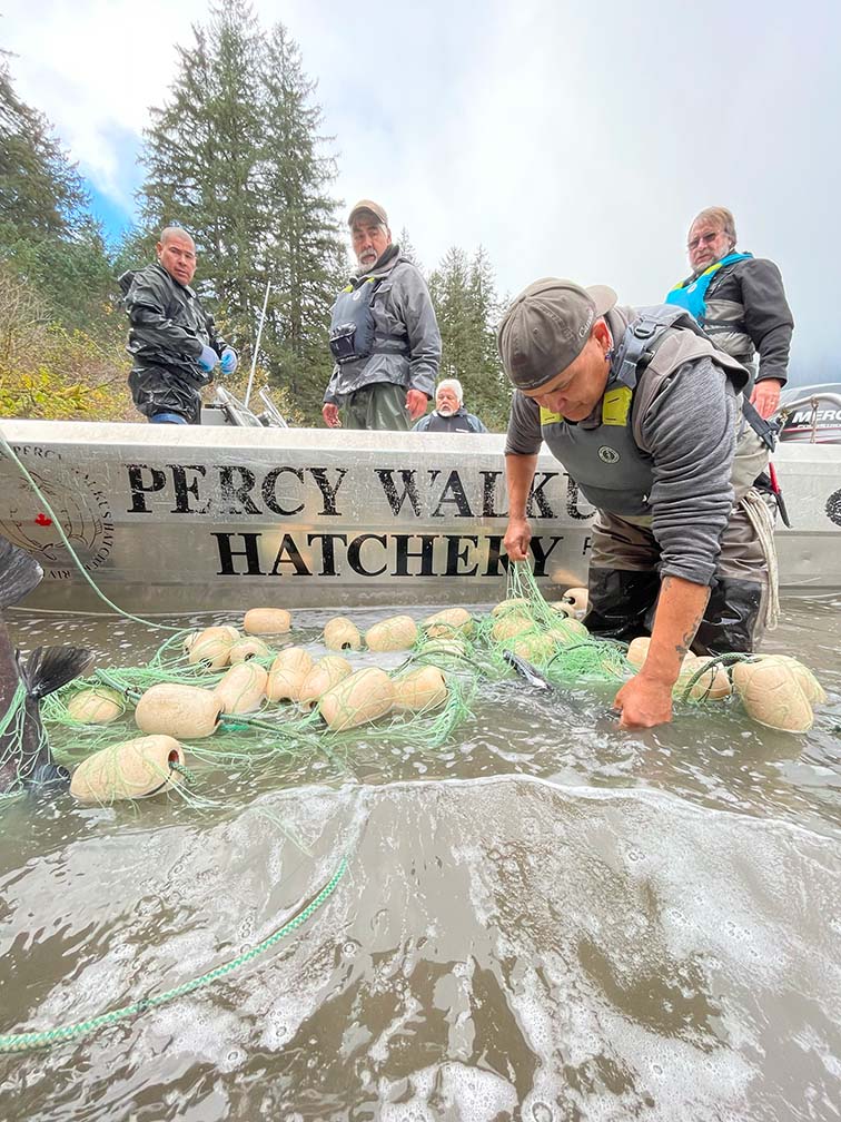 The Little Hatchery that could Percy Walkus Hatchery – Islander